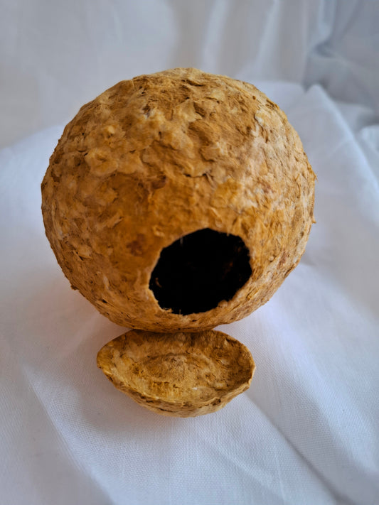 Mini urn Zon